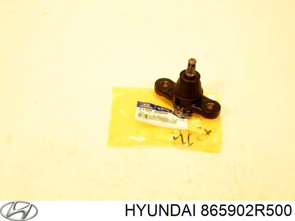 865902R500 Hyundai/Kia moldura de parachoques delantero