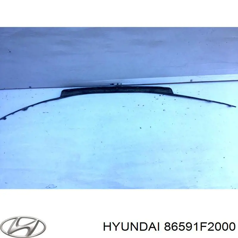 86591F2000 Hyundai/Kia alerón parachoques delantero