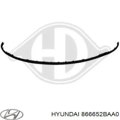 866652BAA0 Hyundai/Kia