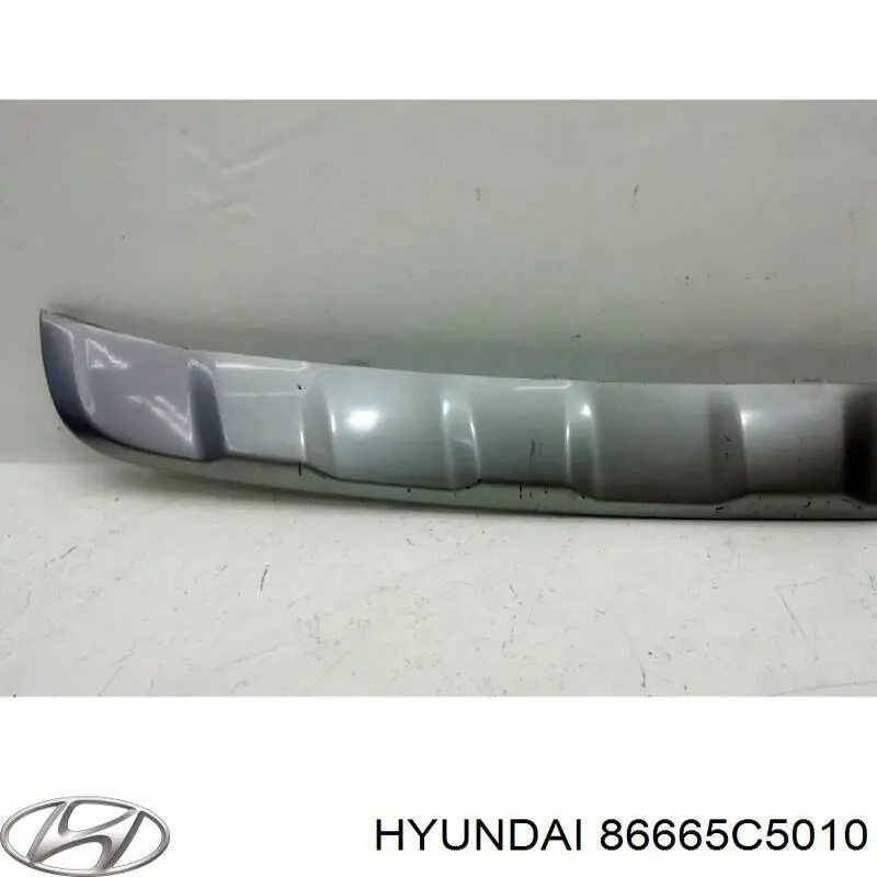 Moldura del parachoques trasero Hyundai/Kia 86665C5010 precio, desde 125,98 EUR