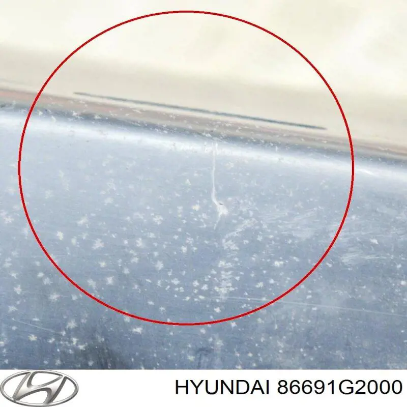 Protector de parachoques trasero 86691G2000 Hyundai/Kia