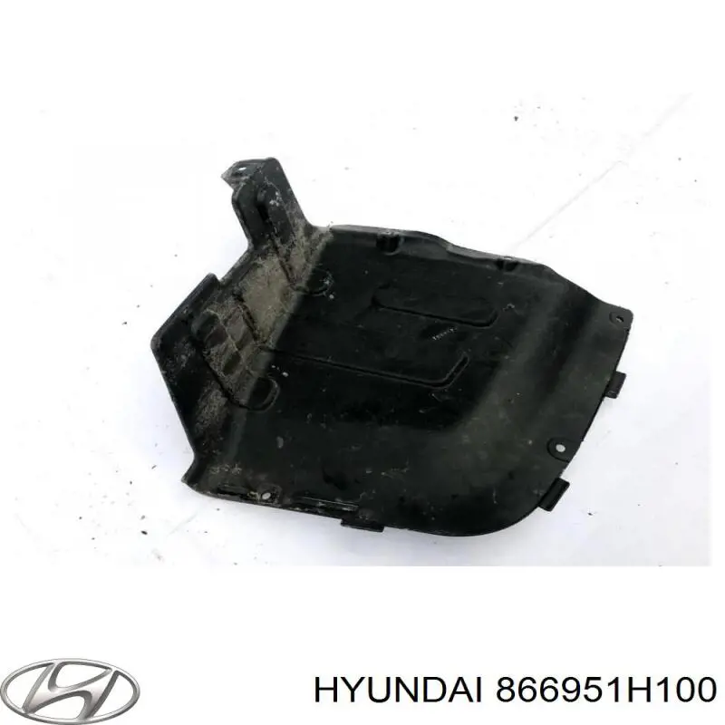 866951H100 Hyundai/Kia