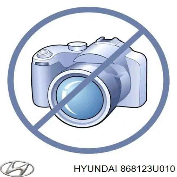 Guardalodos interior delantero derecho Hyundai/Kia 868123U010 precio, desde 41,87 EUR