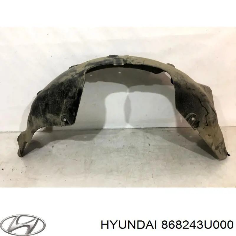 868243U000 Hyundai/Kia