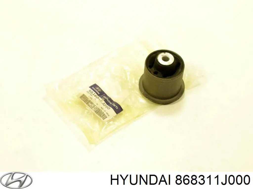 868311J000 Hyundai/Kia faldilla guardabarro delantera izquierda