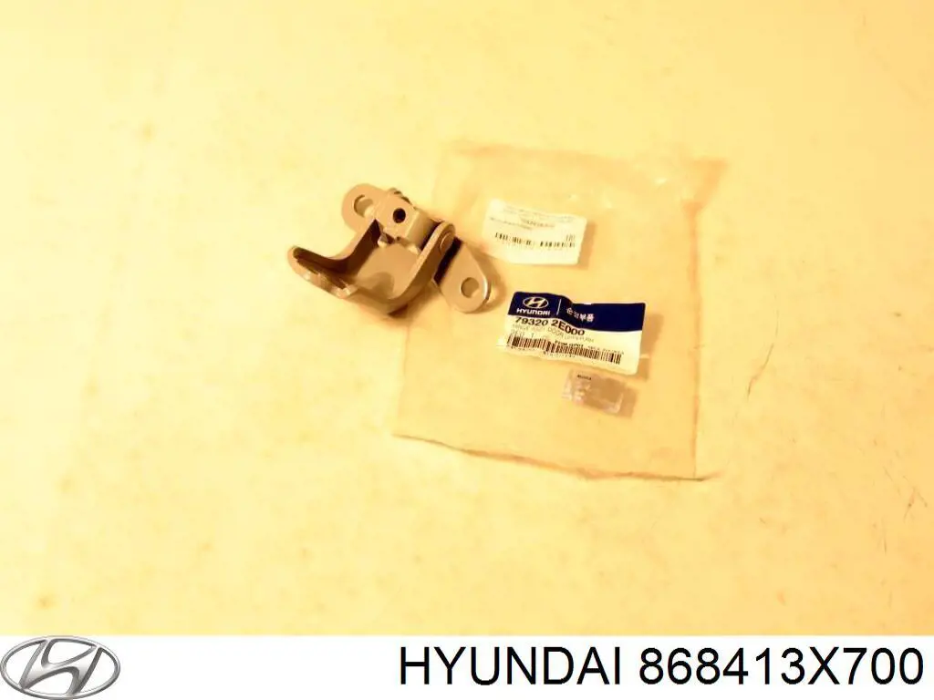 868413X700 Hyundai/Kia faldilla guardabarro trasera izquierda