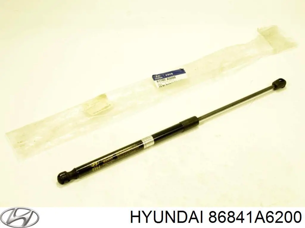 Faldilla guardabarro trasera izquierda para Hyundai I30 (GDH)
