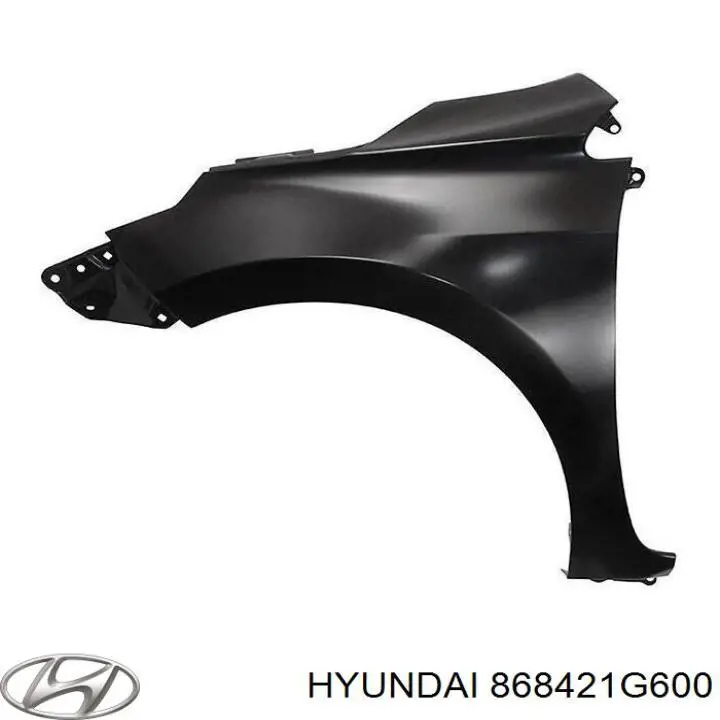 868421G600 Hyundai/Kia faldilla guardabarro trasera derecha