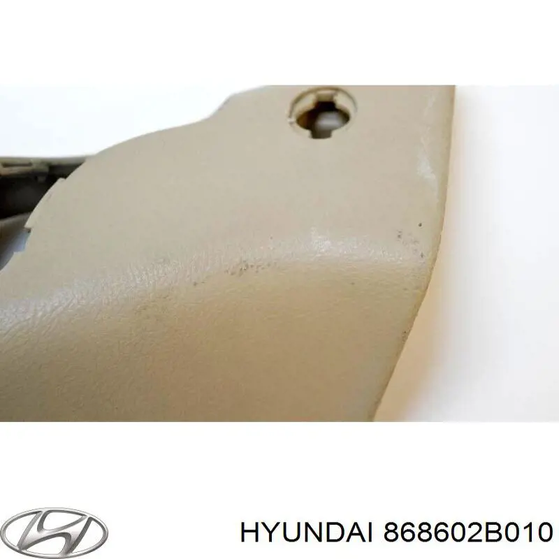 Guardabarros delantero derecho Hyundai/Kia 868602B010 precio, desde 24,71 EUR