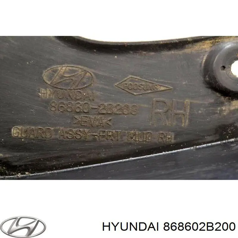 868602B200 Hyundai/Kia faldilla guardabarro delantera derecha