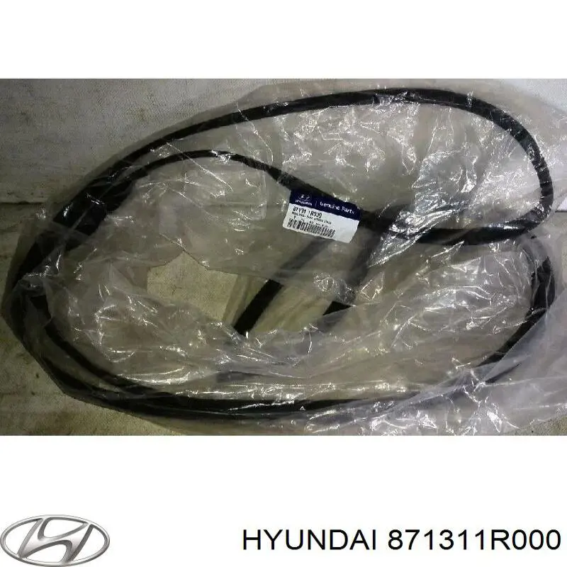 Moldura de cristal trasero Hyundai/Kia 871311R000 precio, desde 54,57 EUR