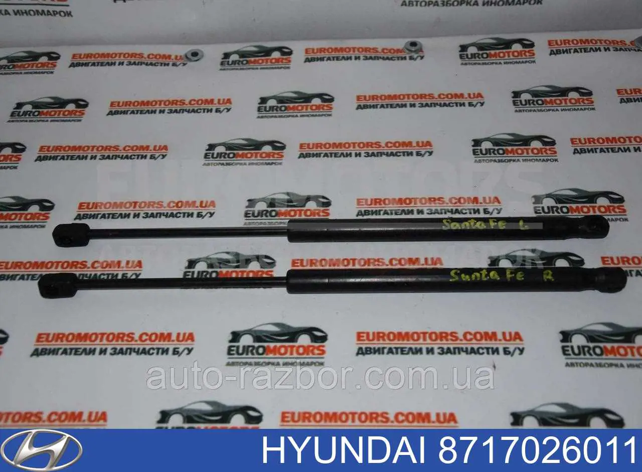 Amortiguador de vidrio de portón trasero (puerta trasera 3/5) Hyundai/Kia 8717026011 precio, desde 13,10 EUR