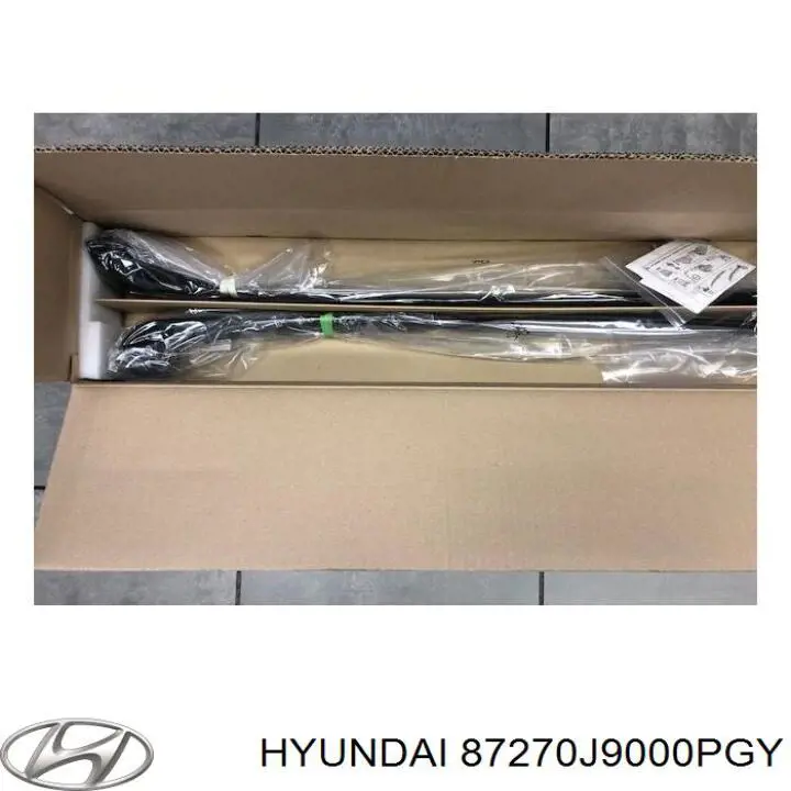 Riel de techo izquierdo Hyundai/Kia 87270J9000PGY precio, desde 211,99 EUR