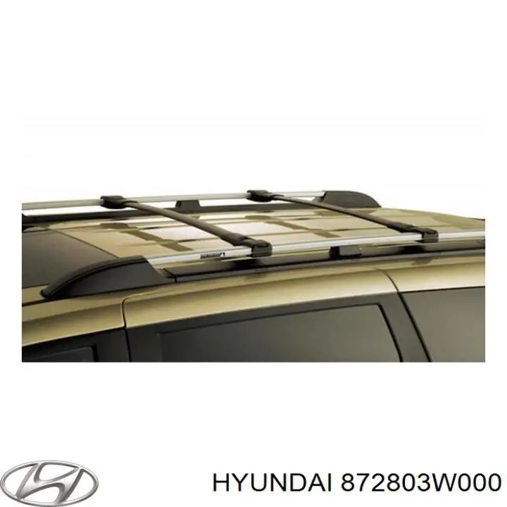 872803W000 Hyundai/Kia