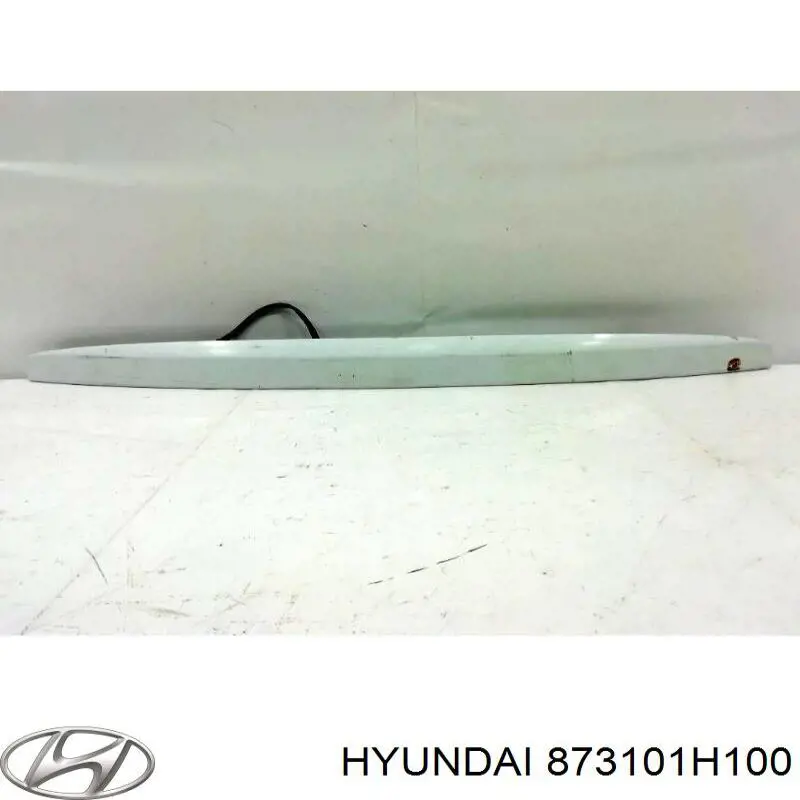 873101H100 Hyundai/Kia cubierta, piloto de matrícula