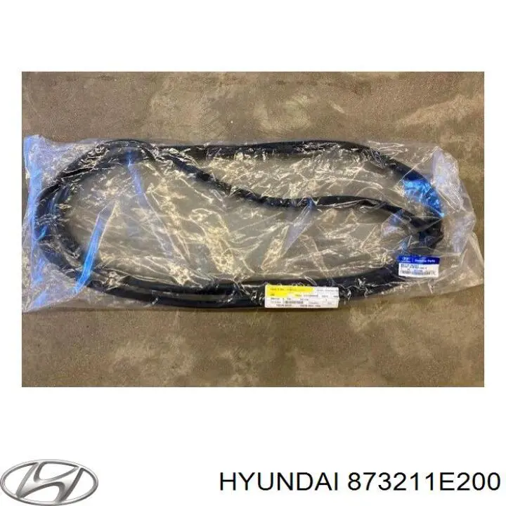 873211E200 Hyundai/Kia junta del maletero