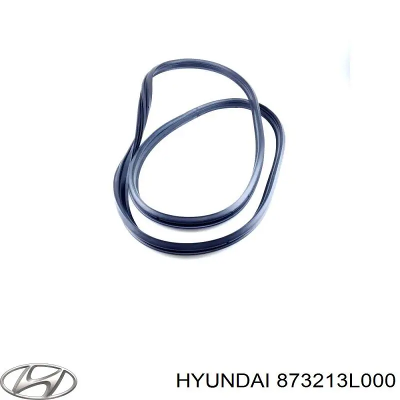 Goma de contorno del maletero para Hyundai Grandeur (TG)
