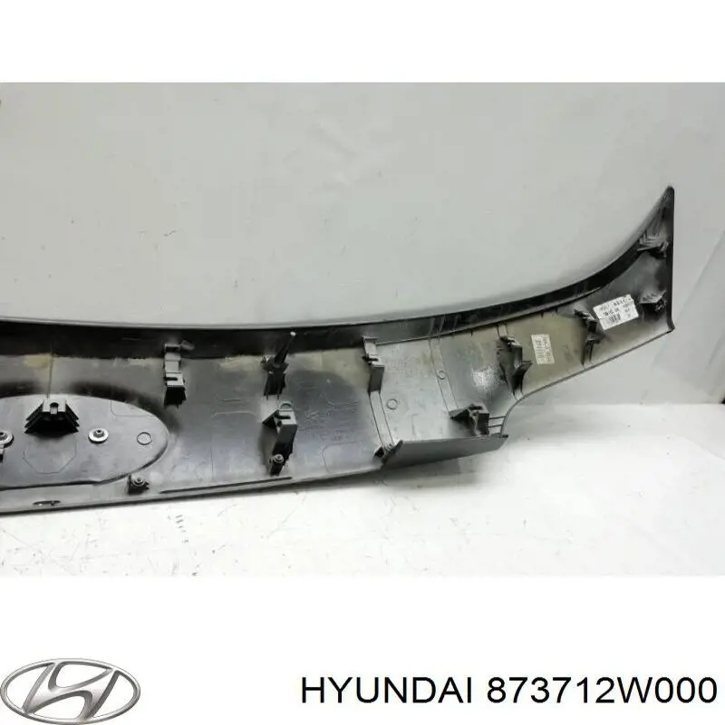 873712W000 Hyundai/Kia Moldura de puerta del maletero (puerta trasera 3/5)
