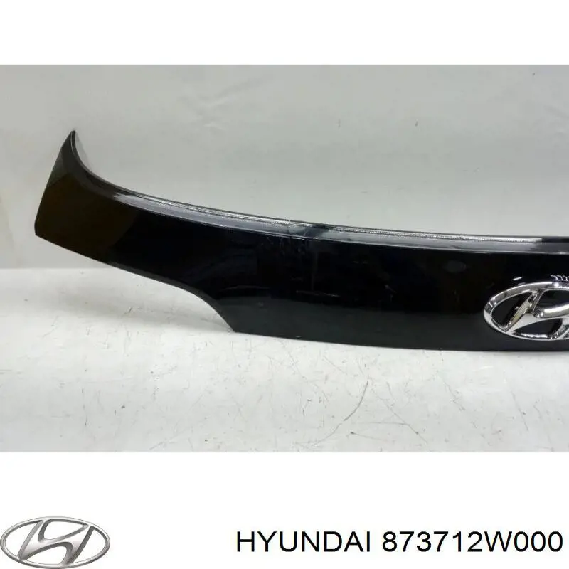 Moldura de puerta de maletero para Hyundai Santa Fe (DM)