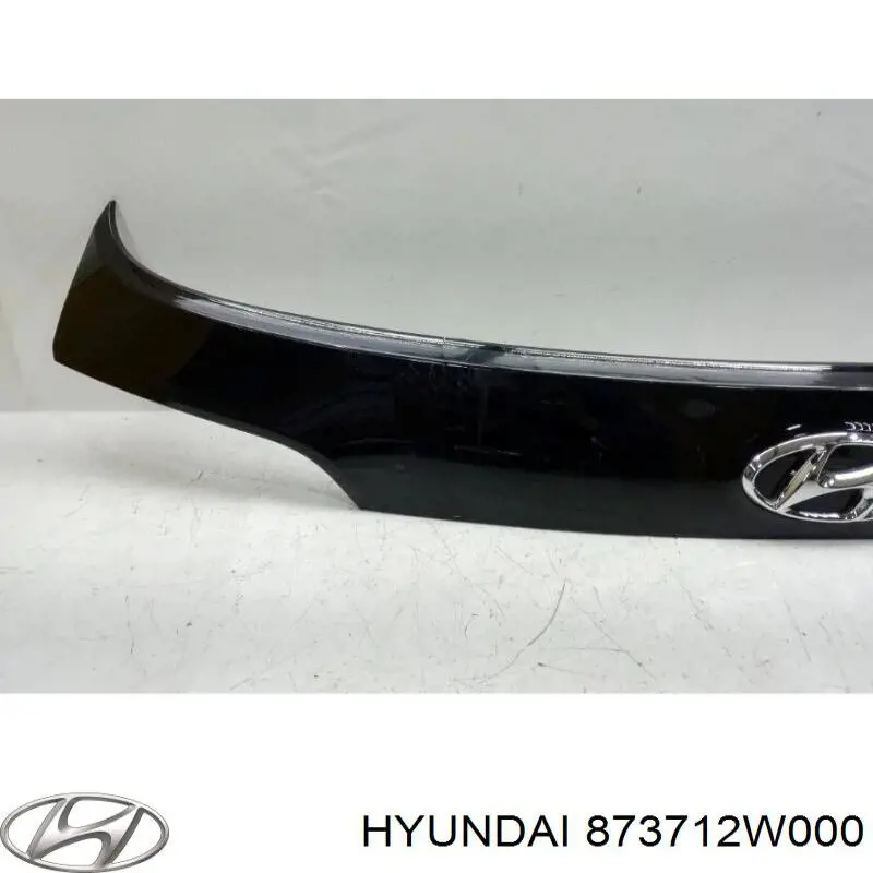 Moldura de puerta de maletero Hyundai Santa Fe 3 (DM)