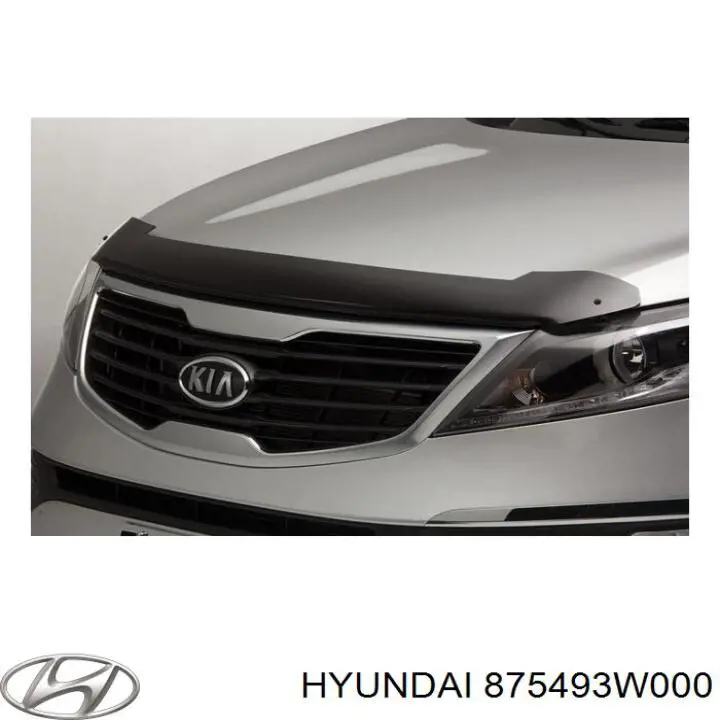 875493W000 Hyundai/Kia