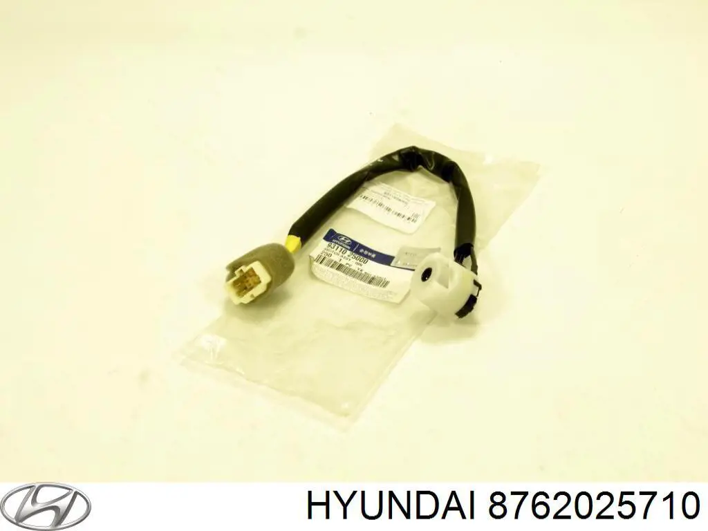 8762025710 Hyundai/Kia espejo retrovisor derecho