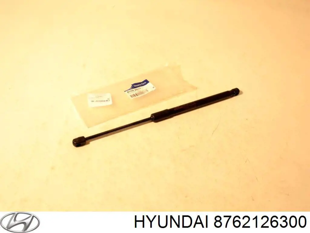 8762126300 Hyundai/Kia cristal de espejo retrovisor exterior derecho