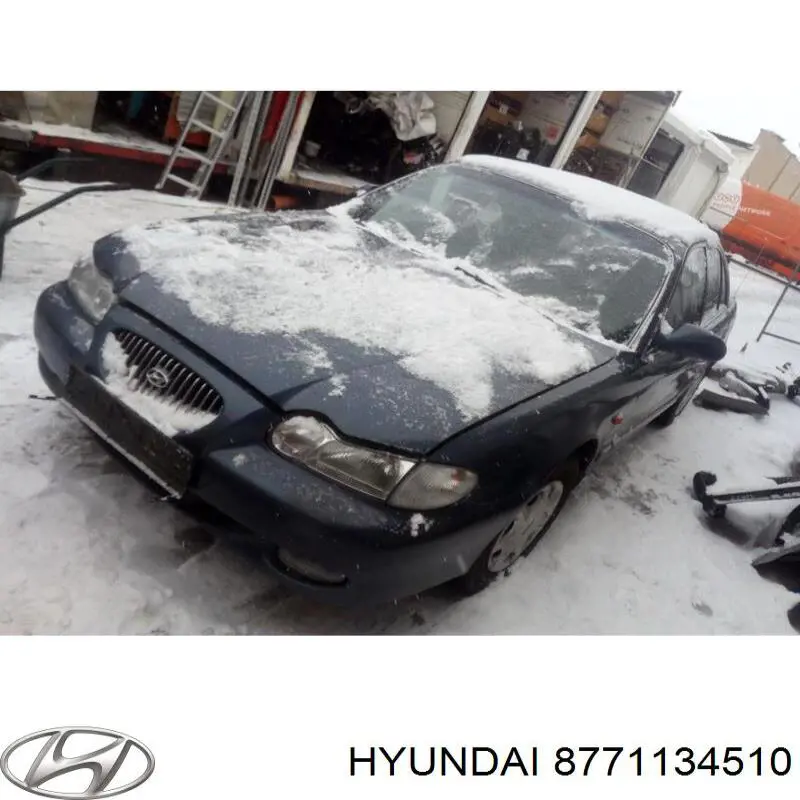 Moldura de guardabarro delantero izquierdo para Hyundai Sonata (EF)
