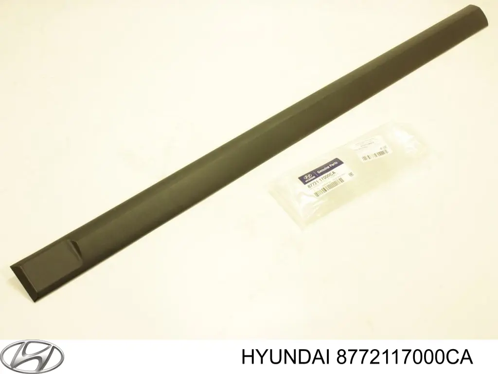 Moldura de puerta delantera izquierda para Hyundai Matrix (FC)
