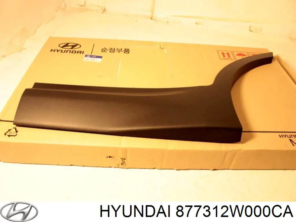 Moldura de puerta trasera izquierda Hyundai Santa Fe 3 (DM)