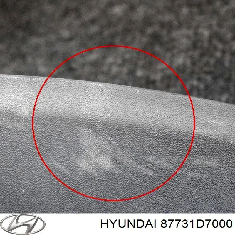 Listón embellecedor de puerta trasera izquierda Hyundai/Kia 87731D7000 precio, desde 45,00 EUR