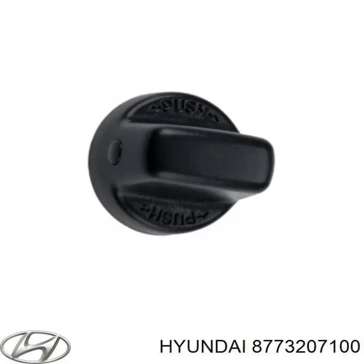 8773207100 Hyundai/Kia moldura de la puerta trasera derecha