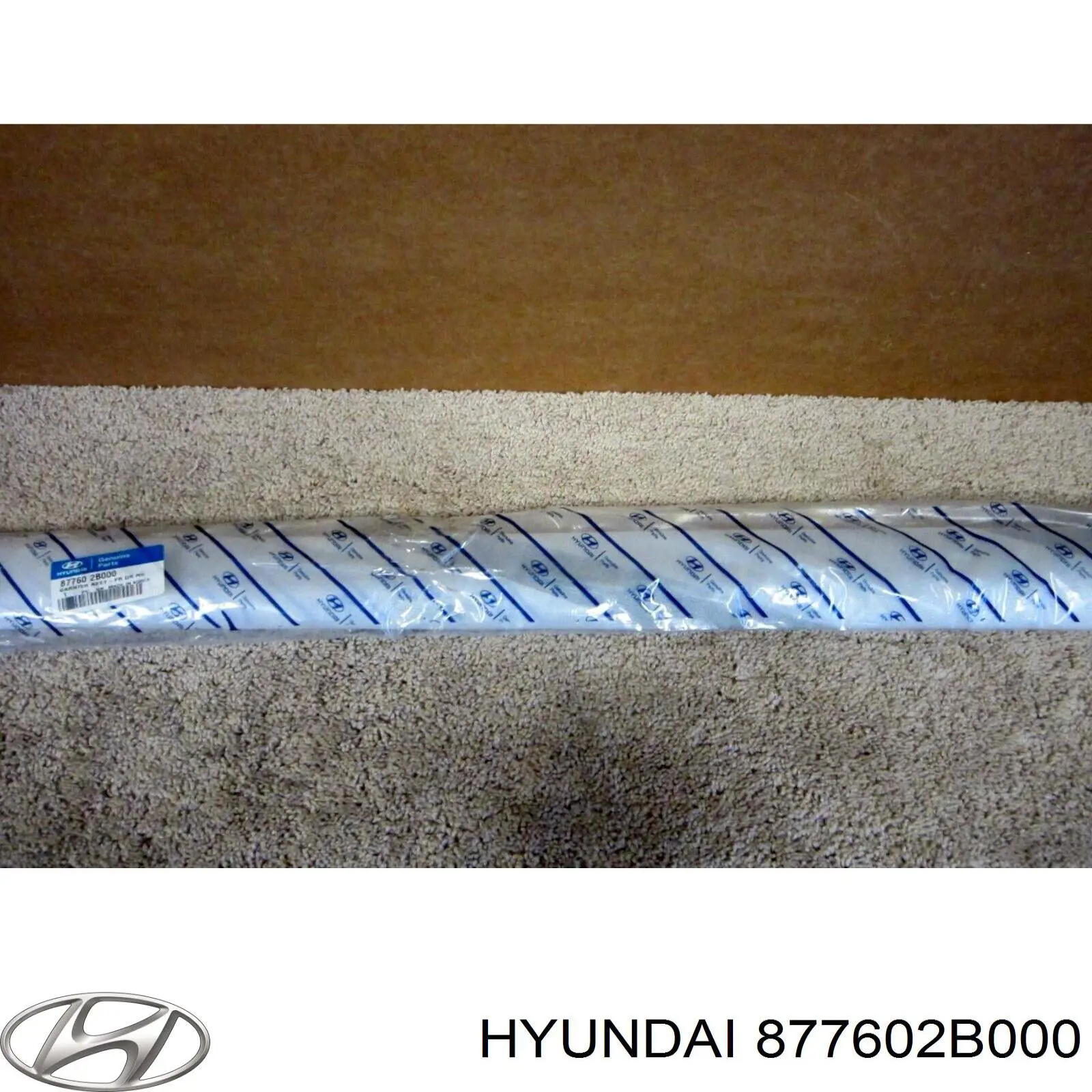Listón embellecedor de puerta delantera derecha para Hyundai Santa Fe 