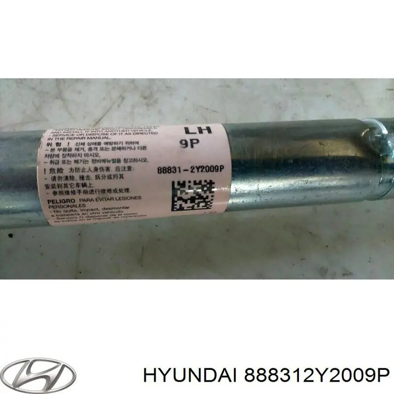 888312Y2009P Hyundai/Kia