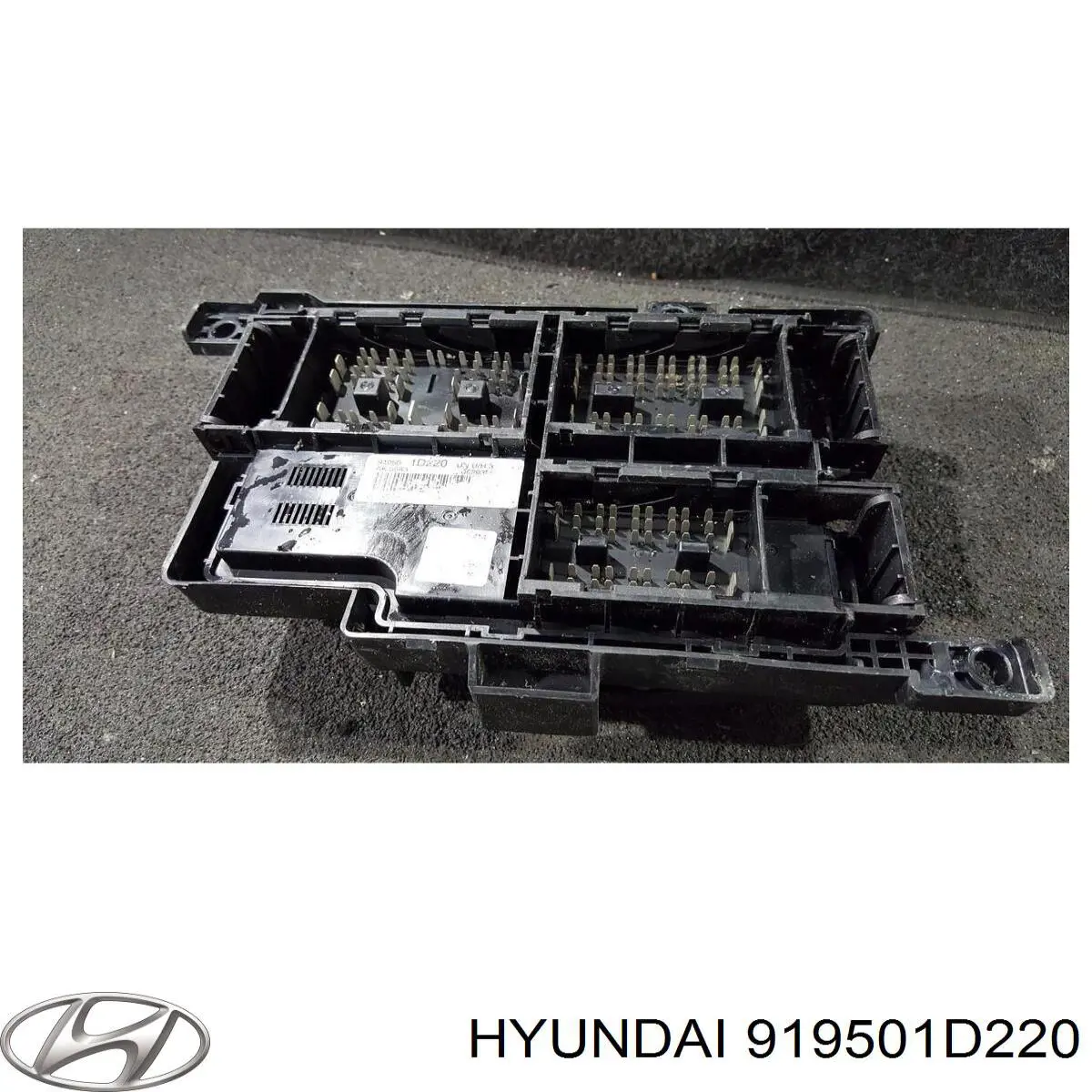 Caja fusibles Hyundai/Kia 919501D220 precio, desde 60,98 EUR