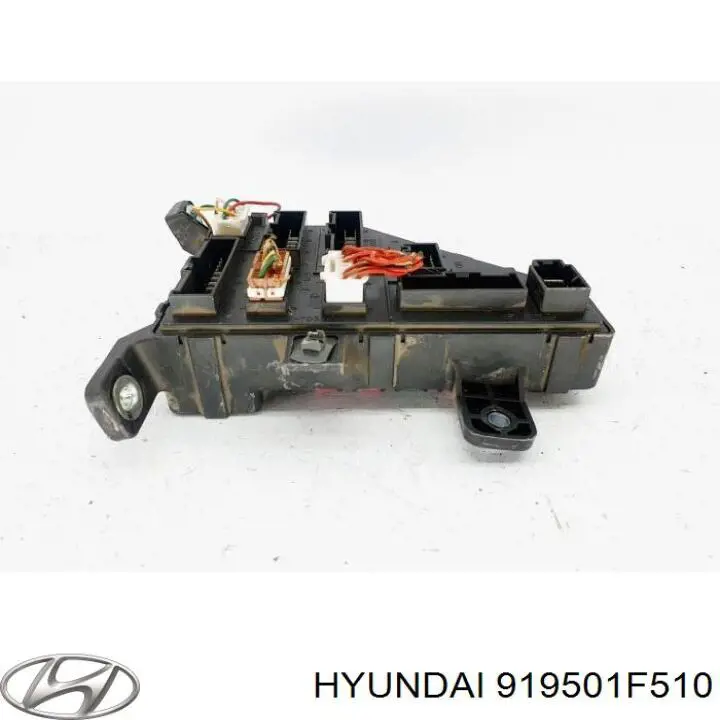 Caja fusibles Hyundai/Kia 919501F510 precio, desde 84,22 EUR