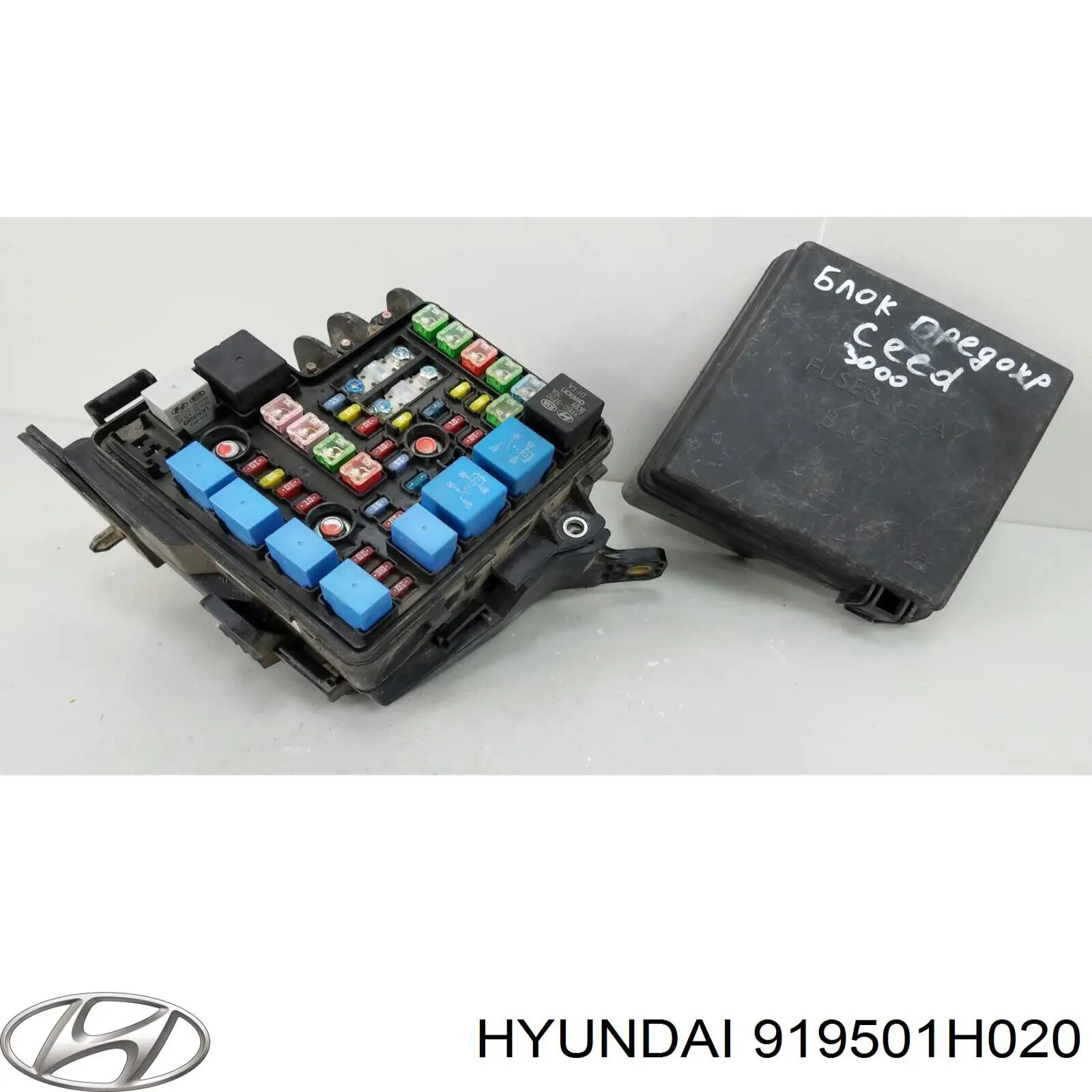 919501H020 Hyundai/Kia