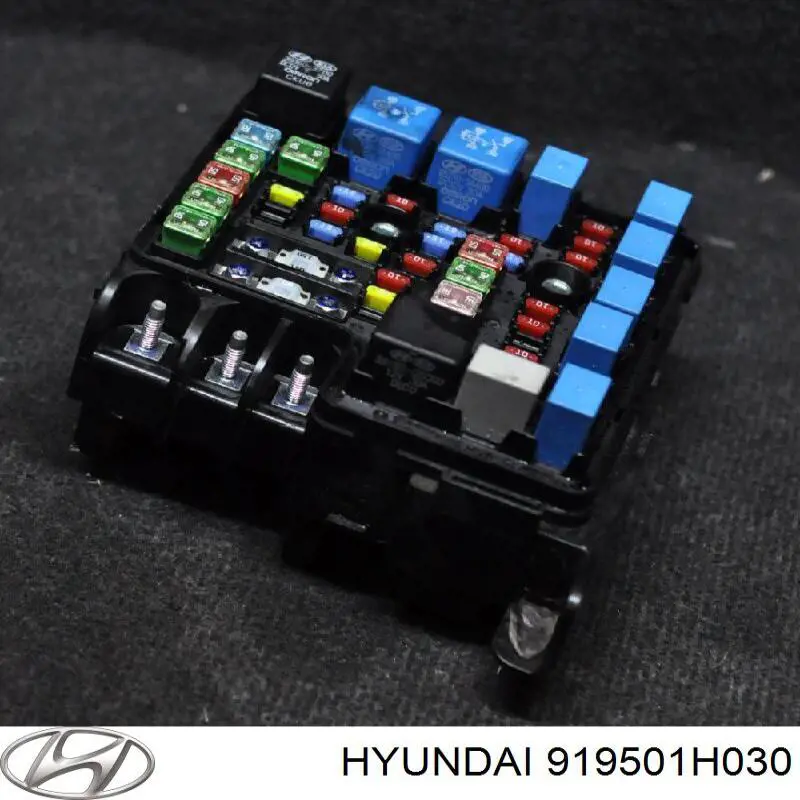 Caja fusibles Hyundai/Kia 919501H030 precio, desde 66,79 EUR