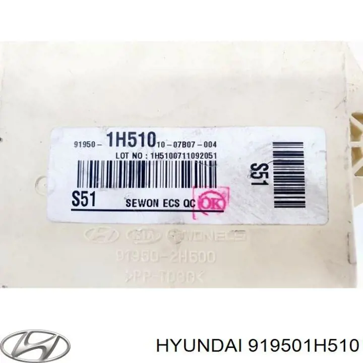 Caja reles Hyundai/Kia 919501H510