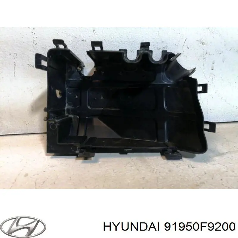 Carcasa de la caja de fusibles Hyundai/Kia 91950F9200 precio, desde 15,01 EUR