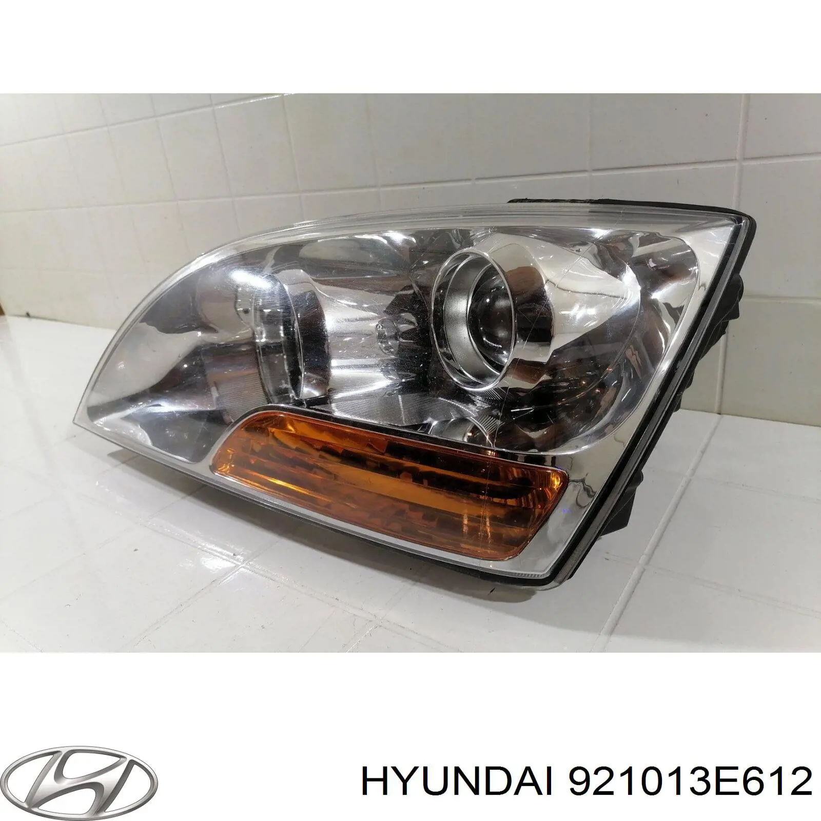 921013E612 Hyundai/Kia Faros