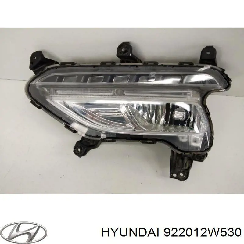 922012W530 Hyundai/Kia luz antiniebla izquierdo