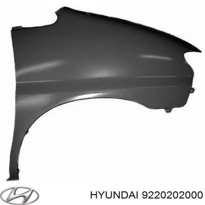 9220202000 Hyundai/Kia Faro antiniebla derecho
