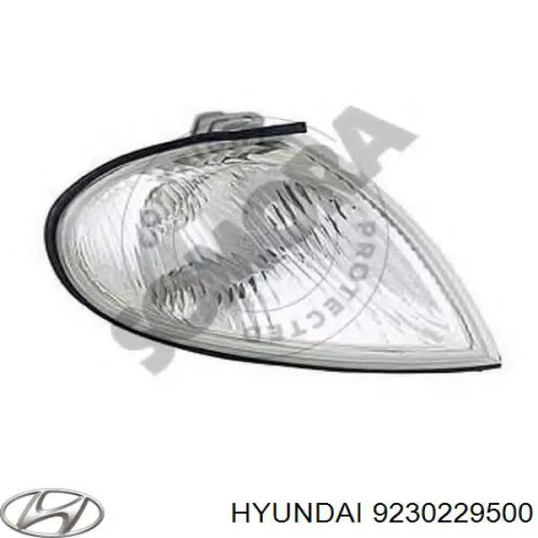 Comprar 9230229500 Hyundai/Kia Piloto intermitente derecho