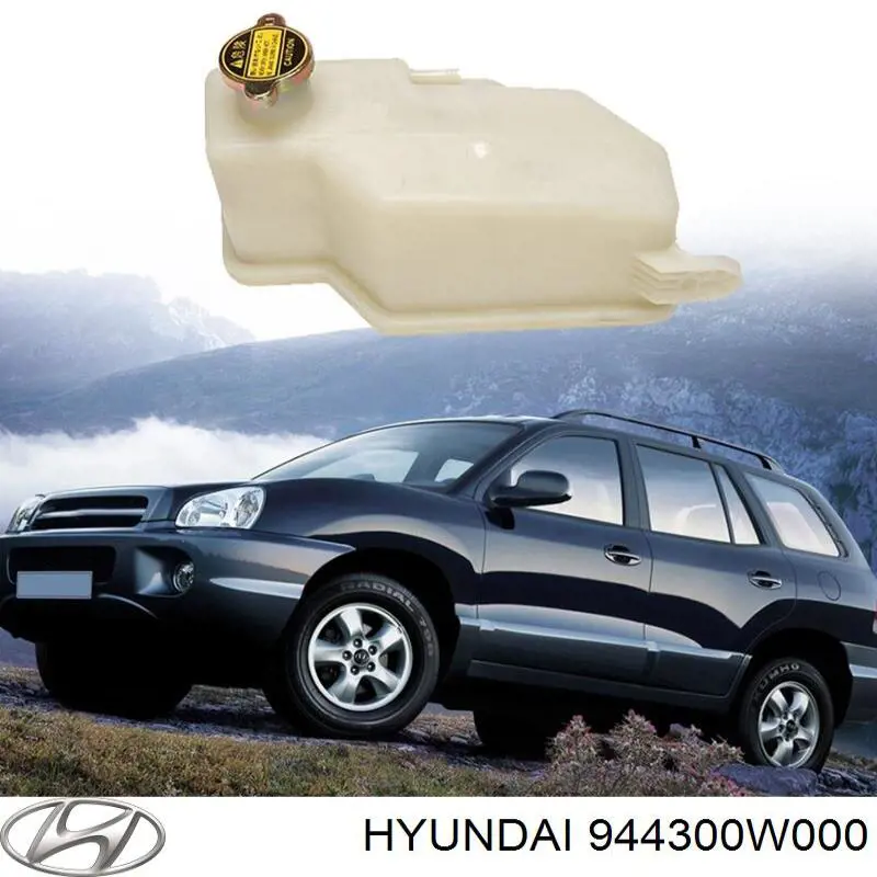 944300W000 Hyundai/Kia aforador