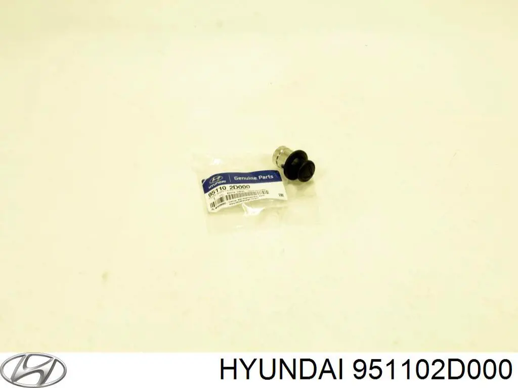 Mechero de coche Hyundai Sonata V sedán (NF) (2007 - 2010) precio, desde 15,44 USD