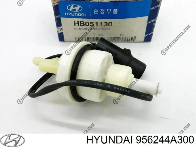 956244A300 Hyundai/Kia