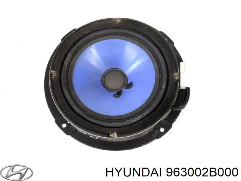 Altavoz de la puerta delantera Hyundai/Kia 963002B000 precio, desde 78,41 EUR