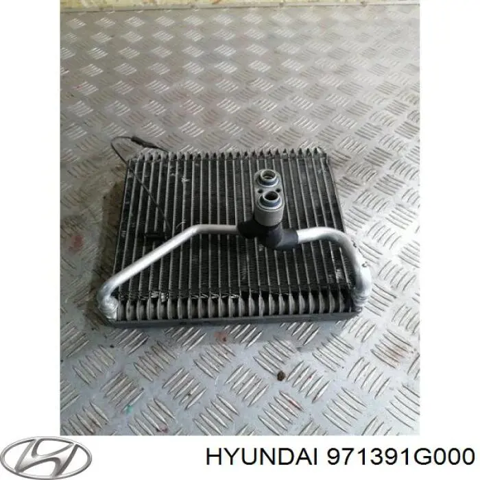 971391G000 Hyundai/Kia evaporador, aire acondicionado