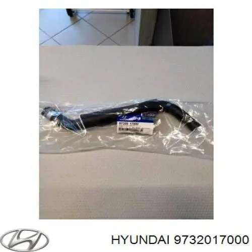 9732017000 Hyundai/Kia